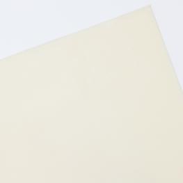 DuPont Engineering Polymers
