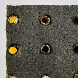 Nanobionic Group