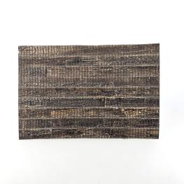 TCI 탕첸 인터내셔널