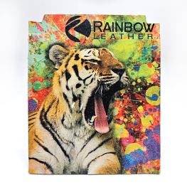 레인보우 레더